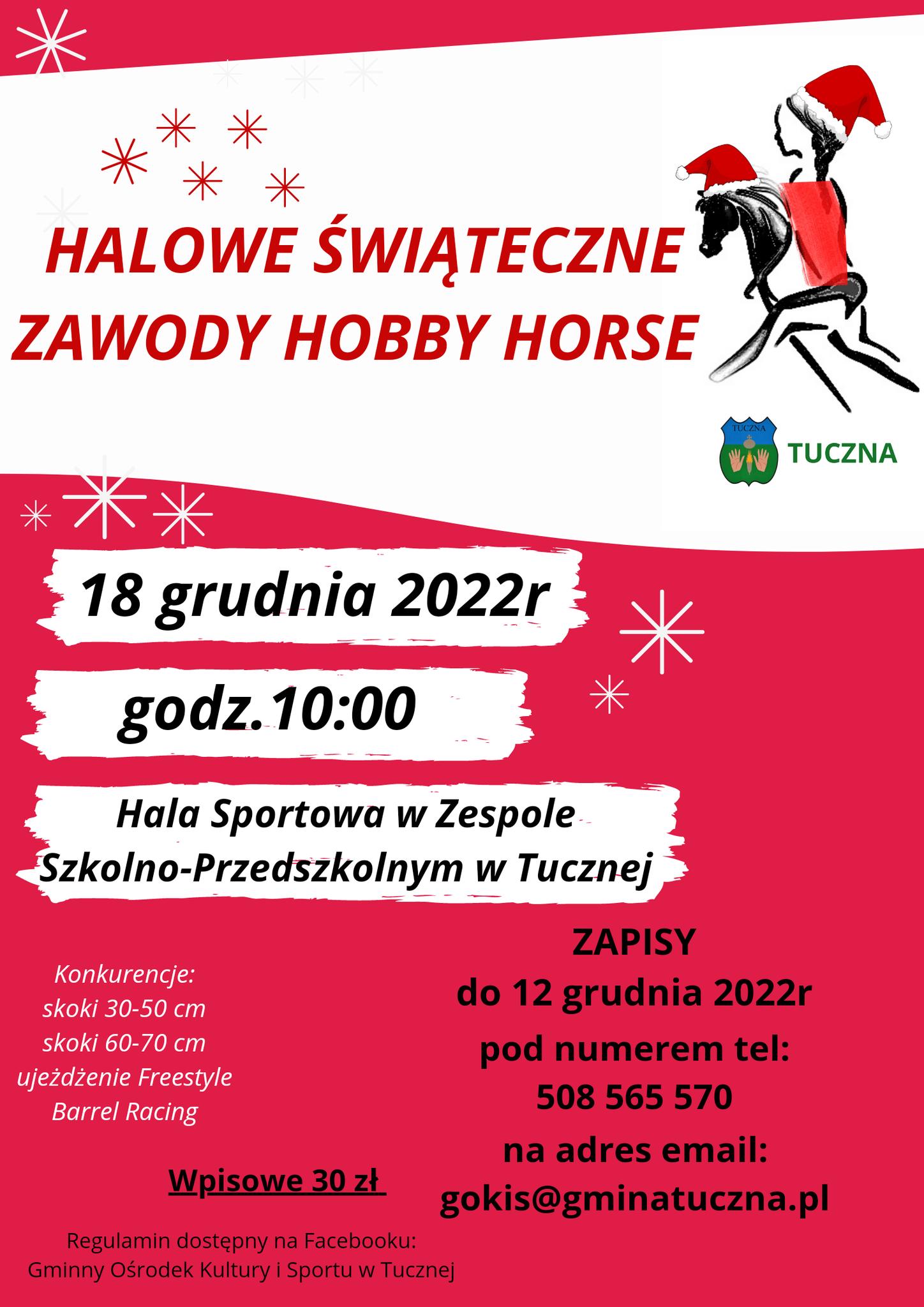 Trwają zapisy na Halowe Świąteczne Zawody Hobby Horse w Tucznej